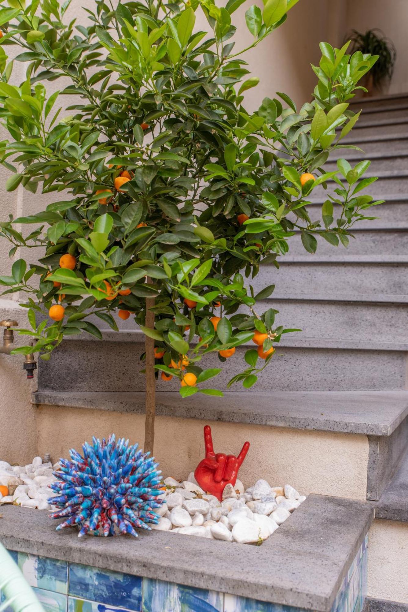 Villa D'Orville Luxury Suites Taormina Kültér fotó